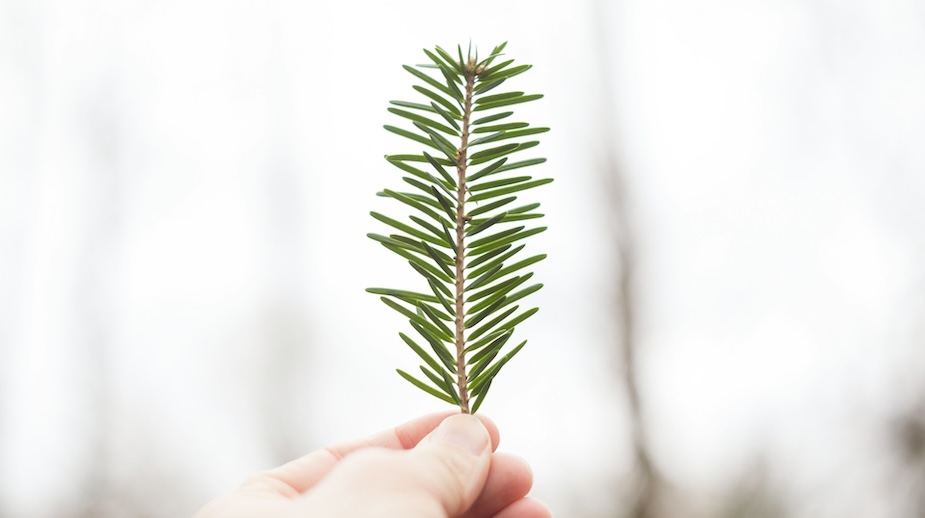 What is the Difference Between Good and Bad Humility? - Walt Rakowich